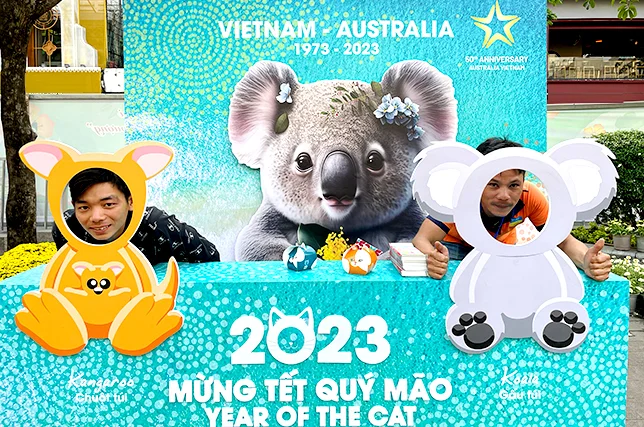 Celebrating the year of the cat 2023