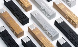 hottest trends 2024 - BIOPHILIC DESIGN