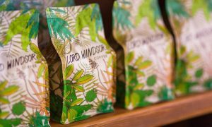 hottest trends 2024 - BIOPHILIC DESIGN