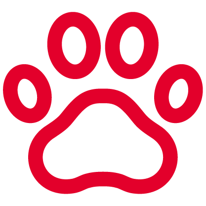 pet icon