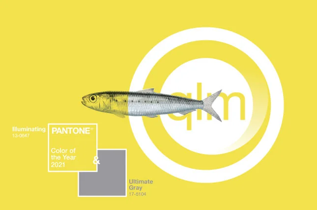 pantone of the year 2021 illuminating