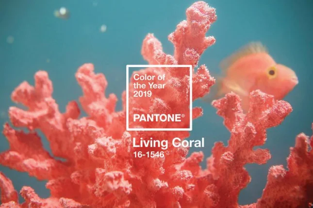 living coral pantone colour of the year 2019