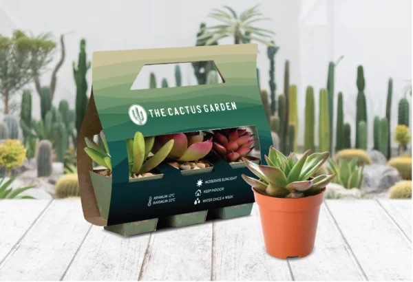 folded carton packaging