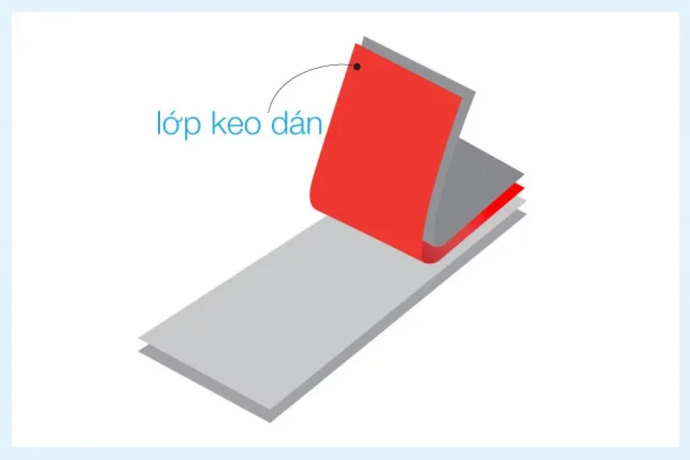 lớp keo dán của nhãn